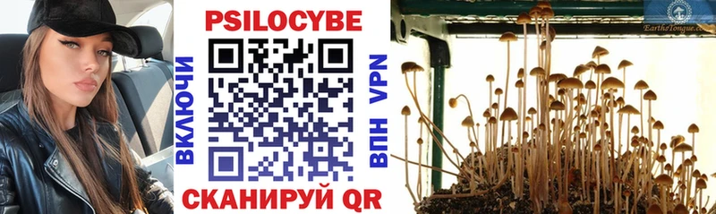 Галлюциногенные грибы мицелий  Купить где  Феодосия 